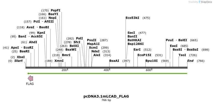 30218_map