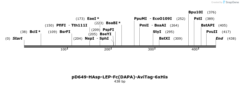 302186_map