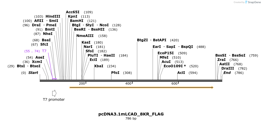 30219_map