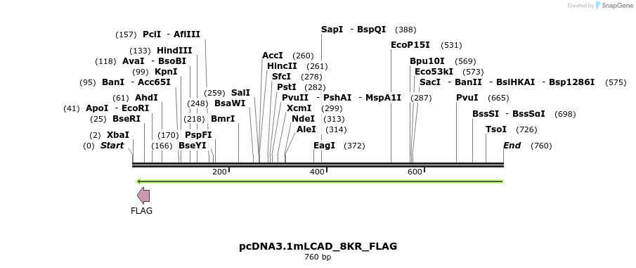 30220_map