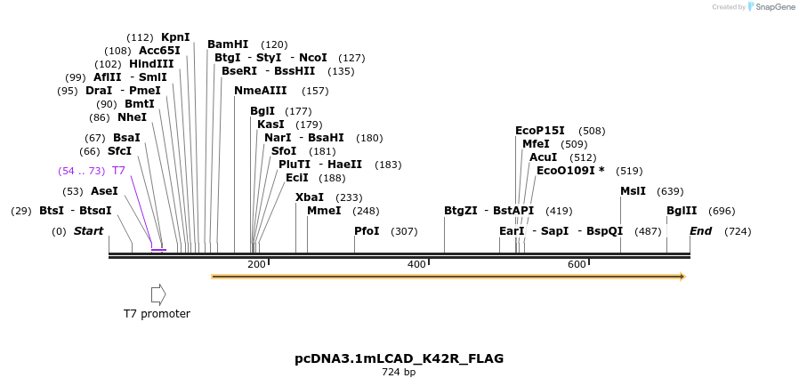 30221_map