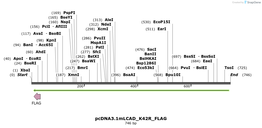 30222_map