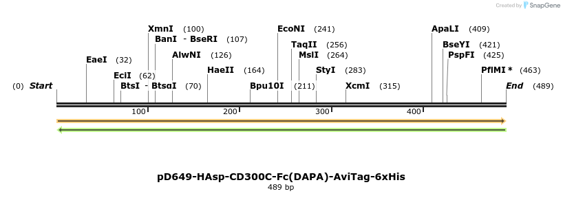 302224_map