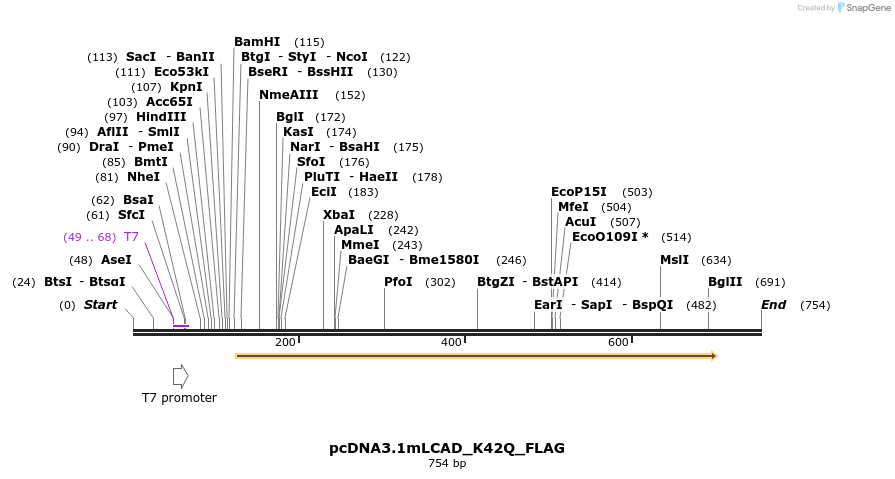 30223_map