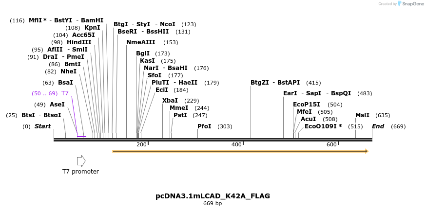 30225_map