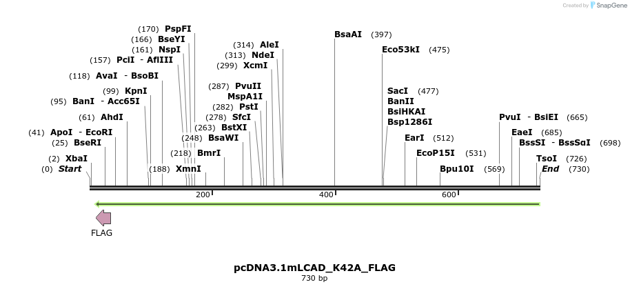 30226_map