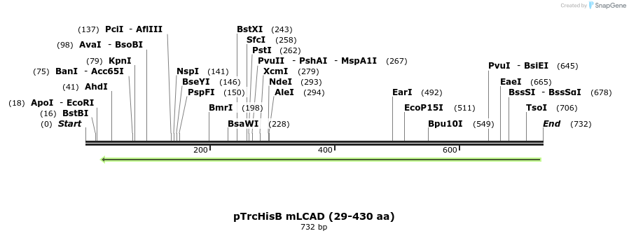 30227_map