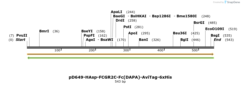 302276_map