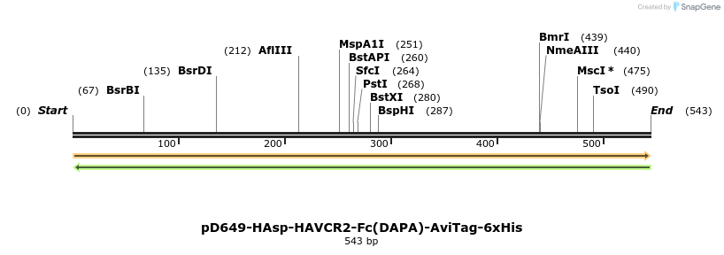 302278_map