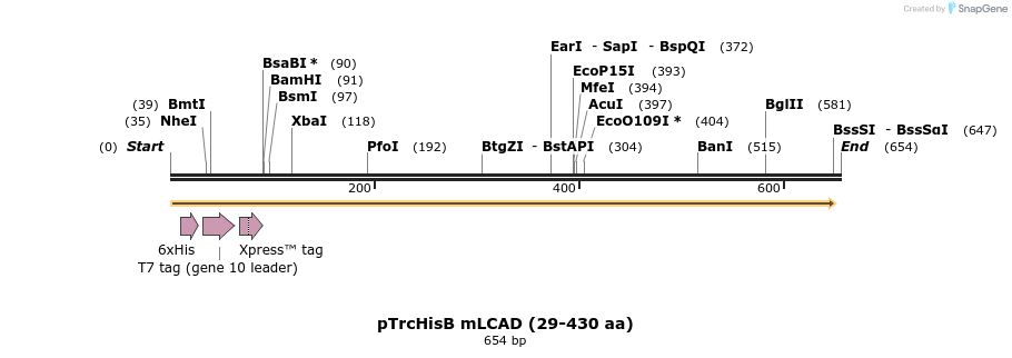 30228_map