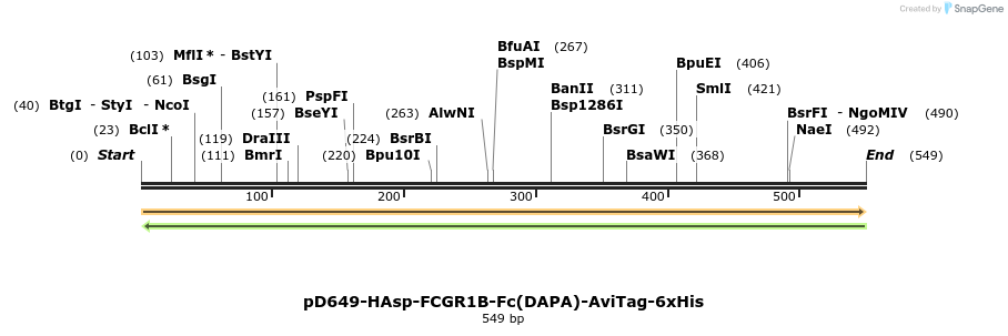 302286_map