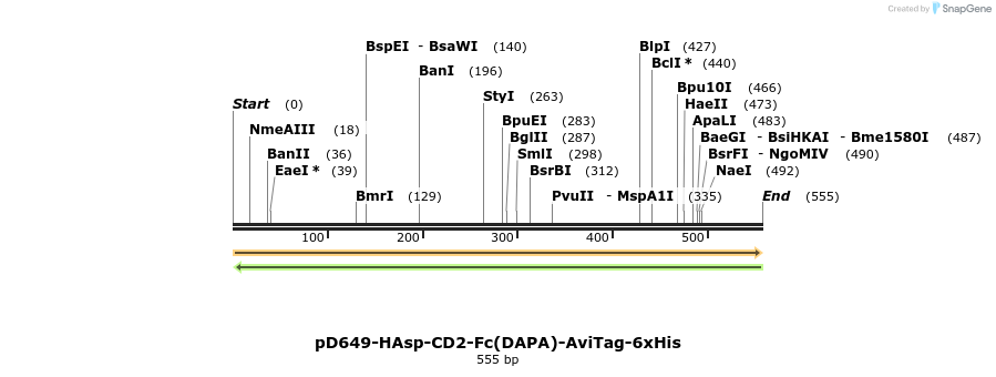302292_map