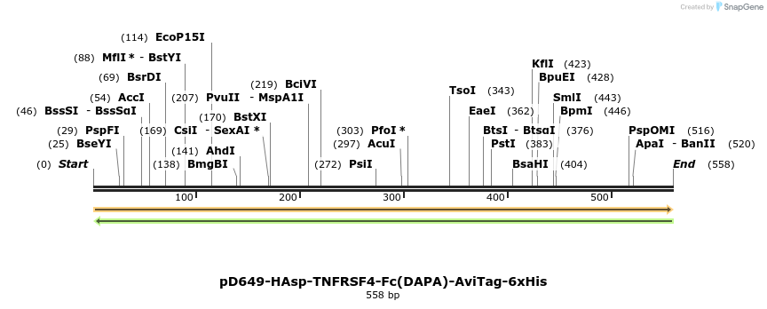 302298_map