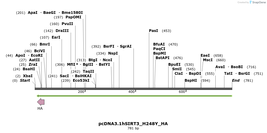 30230_map