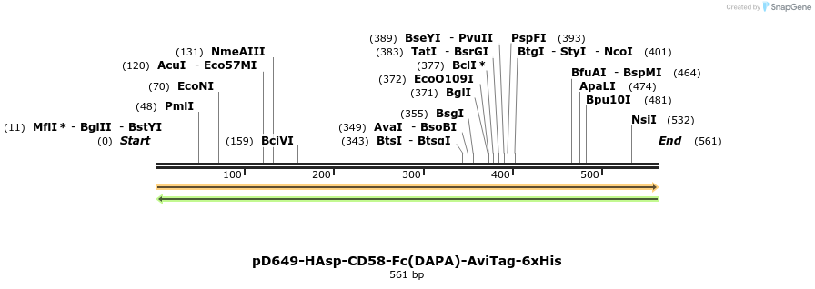 302300_map