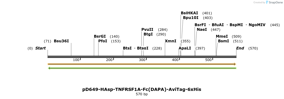 302306_map