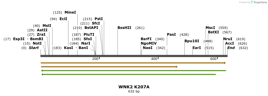 30231_map
