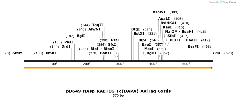 302310_map