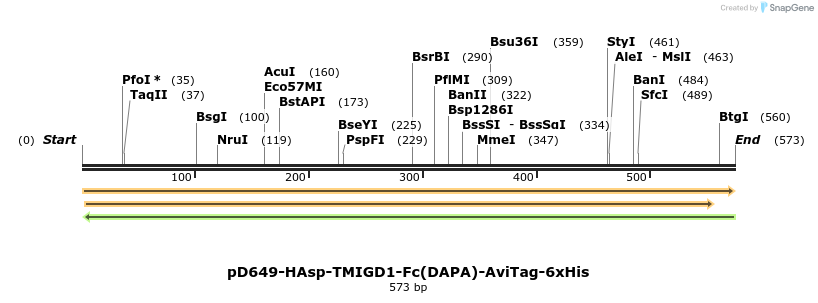 302314_map