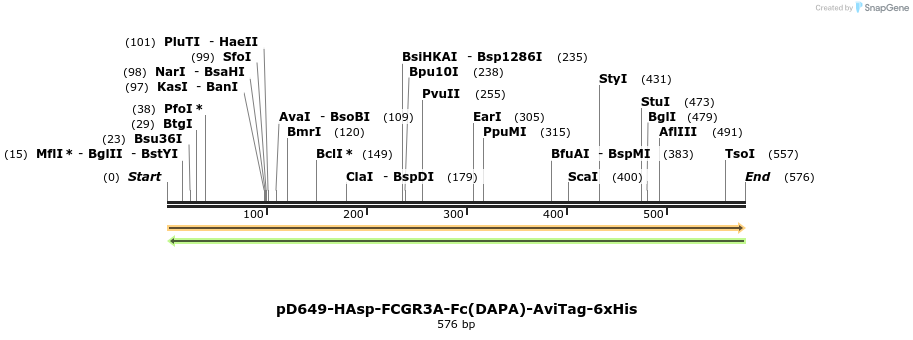 302316_map
