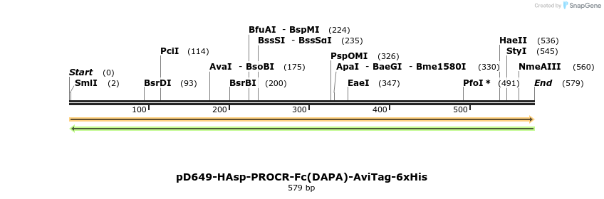 302318_map