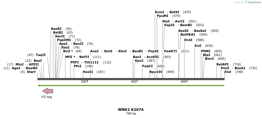 30232_map