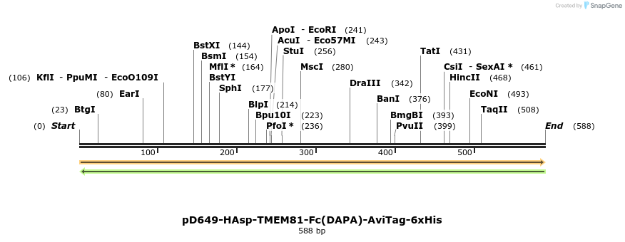 302326_map