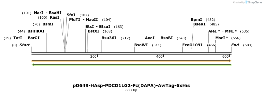 302334_map