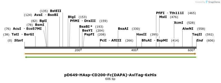 302336_map