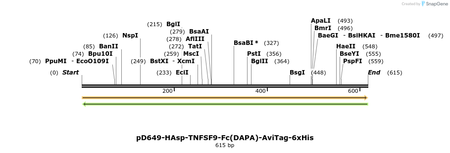 302344_map