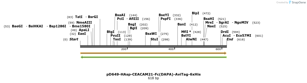302350_map