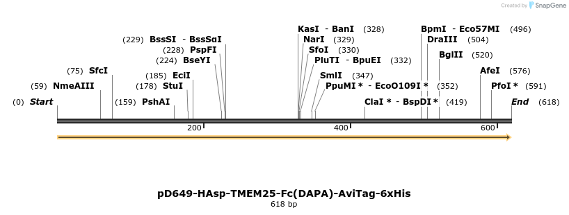 302352_map