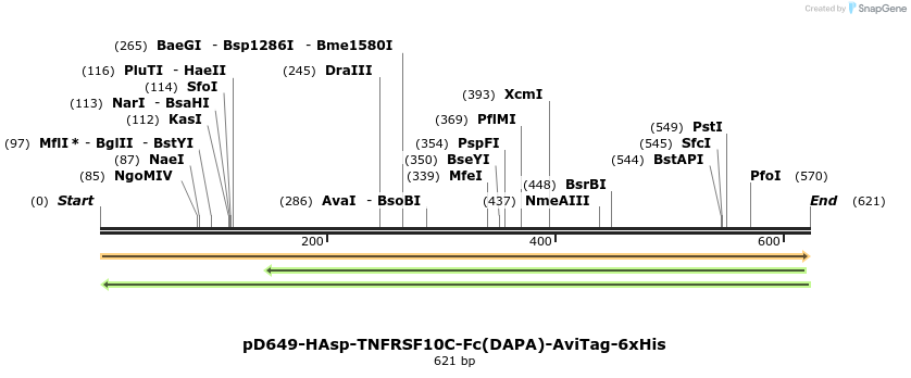 302354_map
