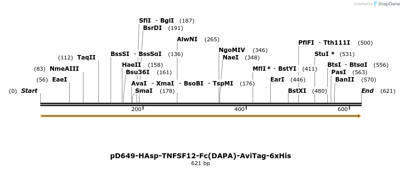 302356_map
