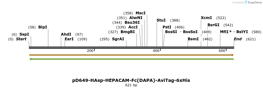 302358_map