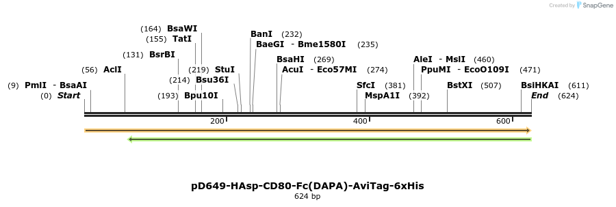 302360_map
