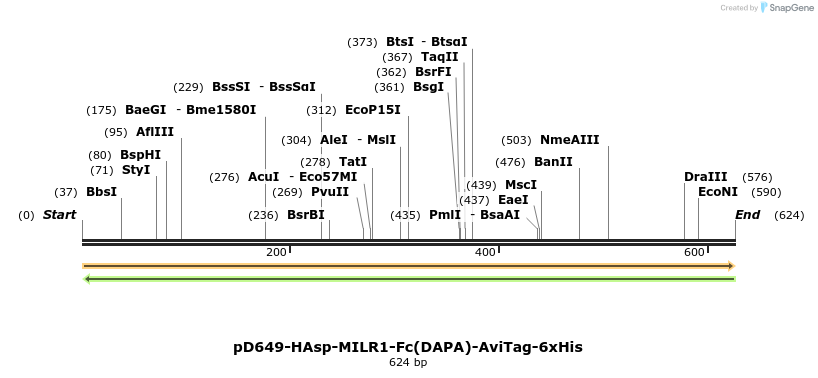 302362_map