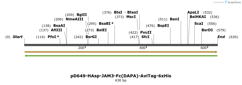 302368_map