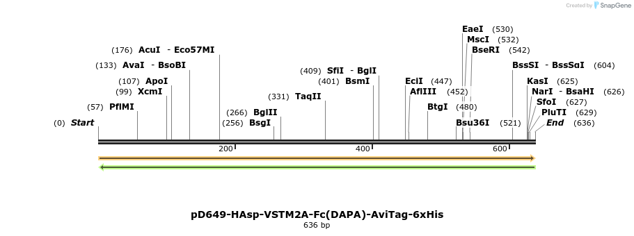 302376_map