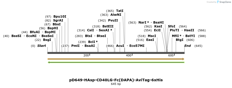 302382_map