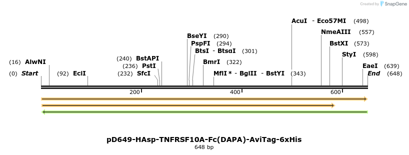 302386_map