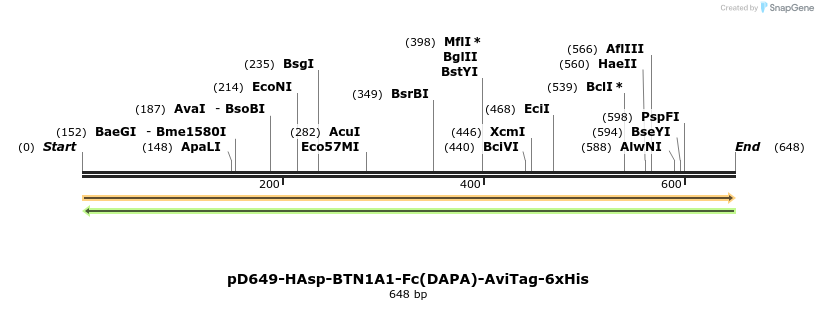 302388_map