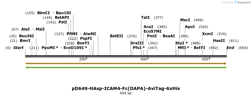302404_map