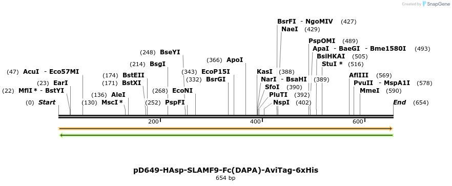 302406_map