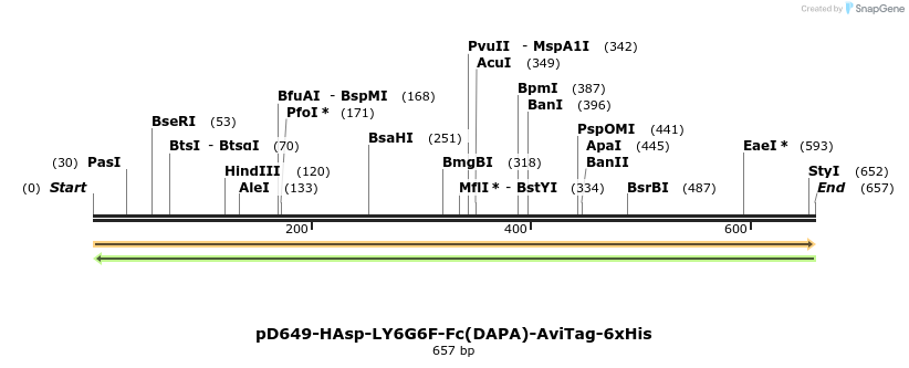 302416_map