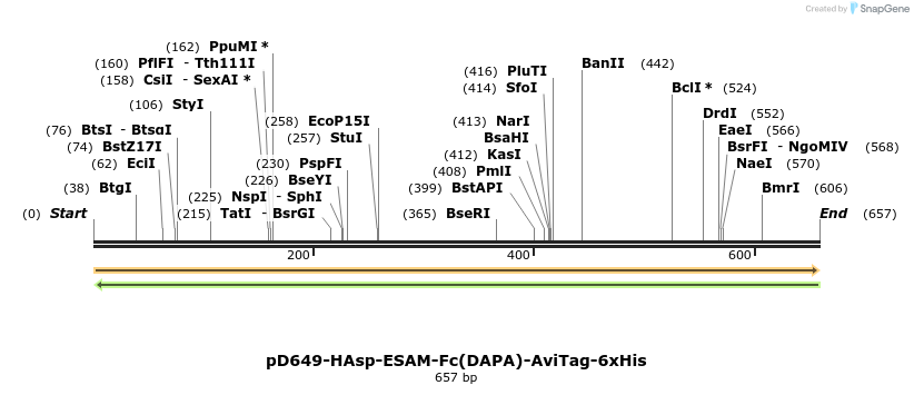302418_map