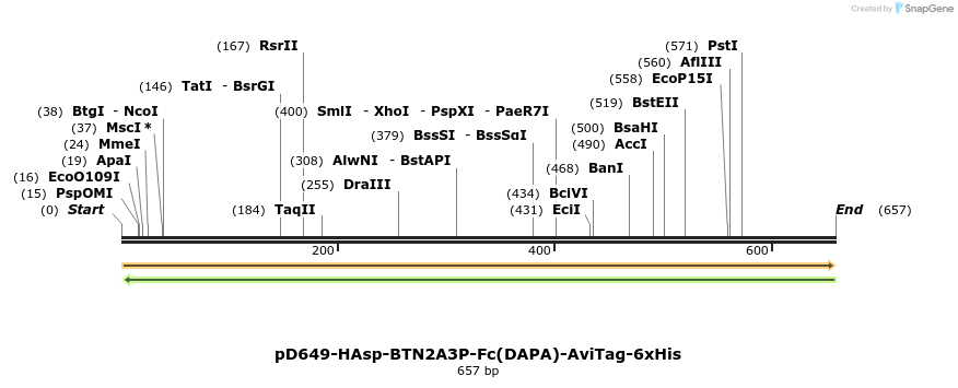 302420_map