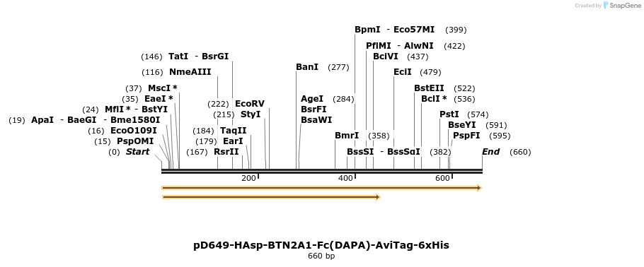 302426_map