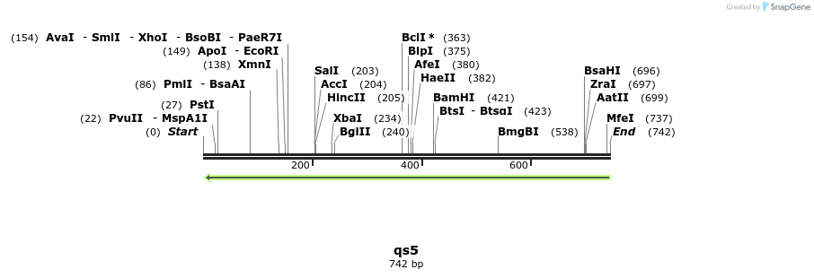 30243_map