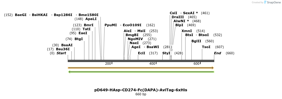 302430_map
